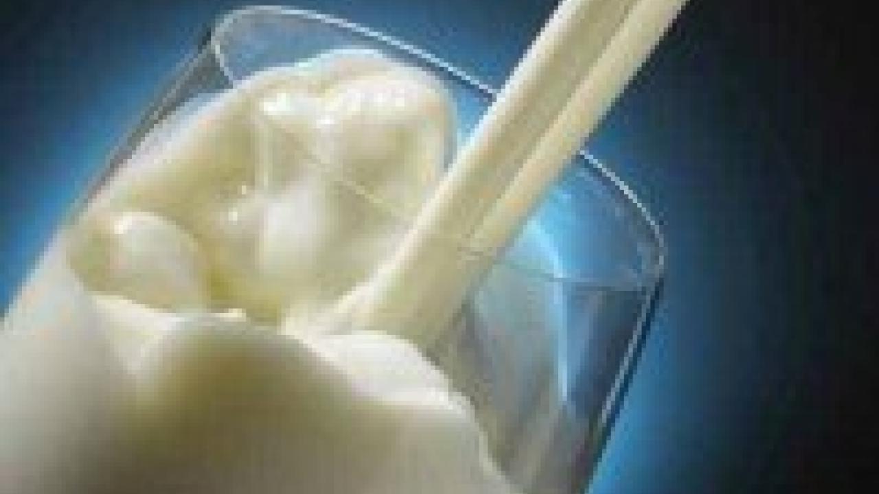 6.9 million funds studies of healthboosting compounds in cow’s milk
