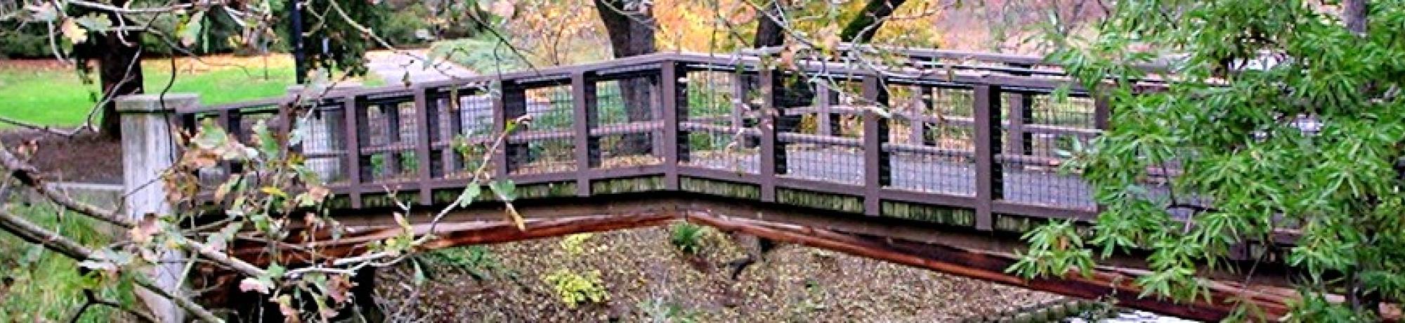 wooden bridge